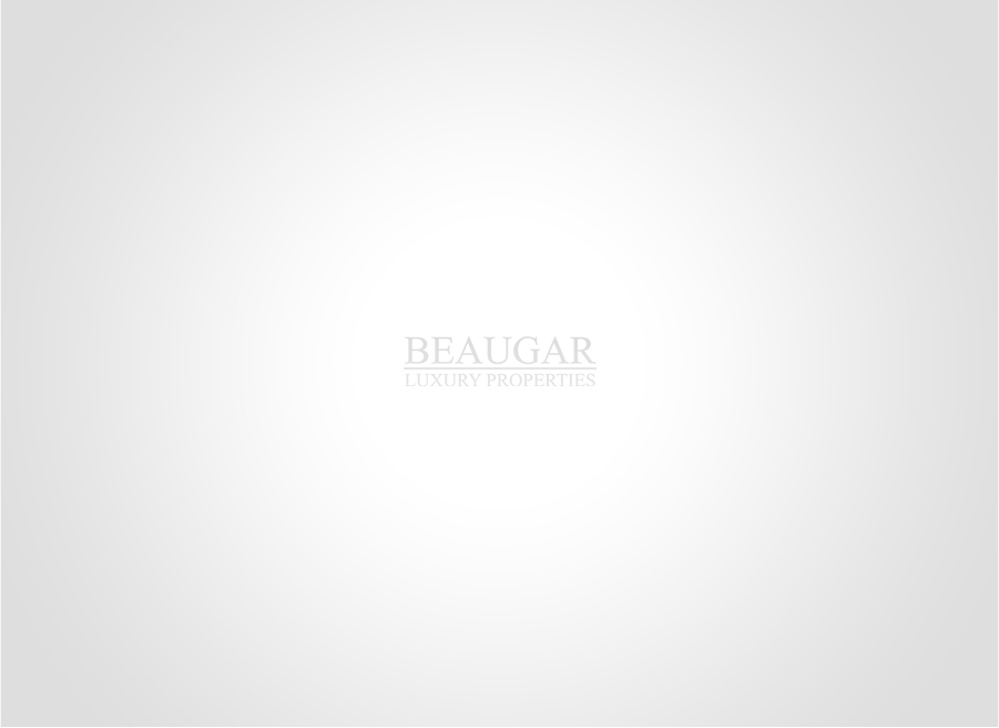 Pas d'image disponible